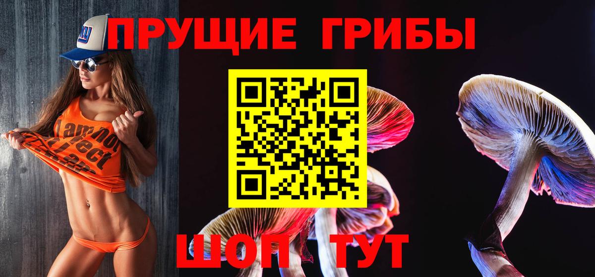 Псилоцибиновые грибы Cubensis  Вход с VPN  Лангепас 
