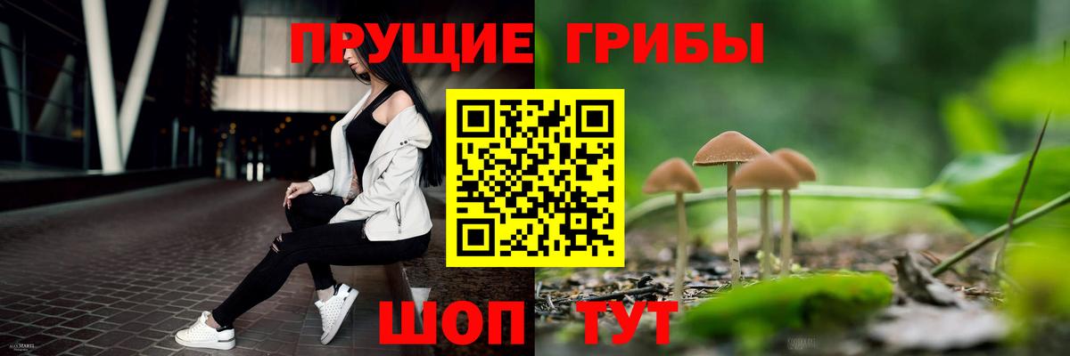 Псилоцибиновые грибы прущие грибы Лангепас